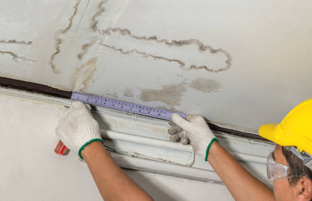 Reliable Burst Pipe Cleanup contractor in Mosheim, TN by Water Damage Irwin